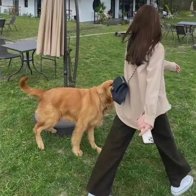 弱美男英雄第2季